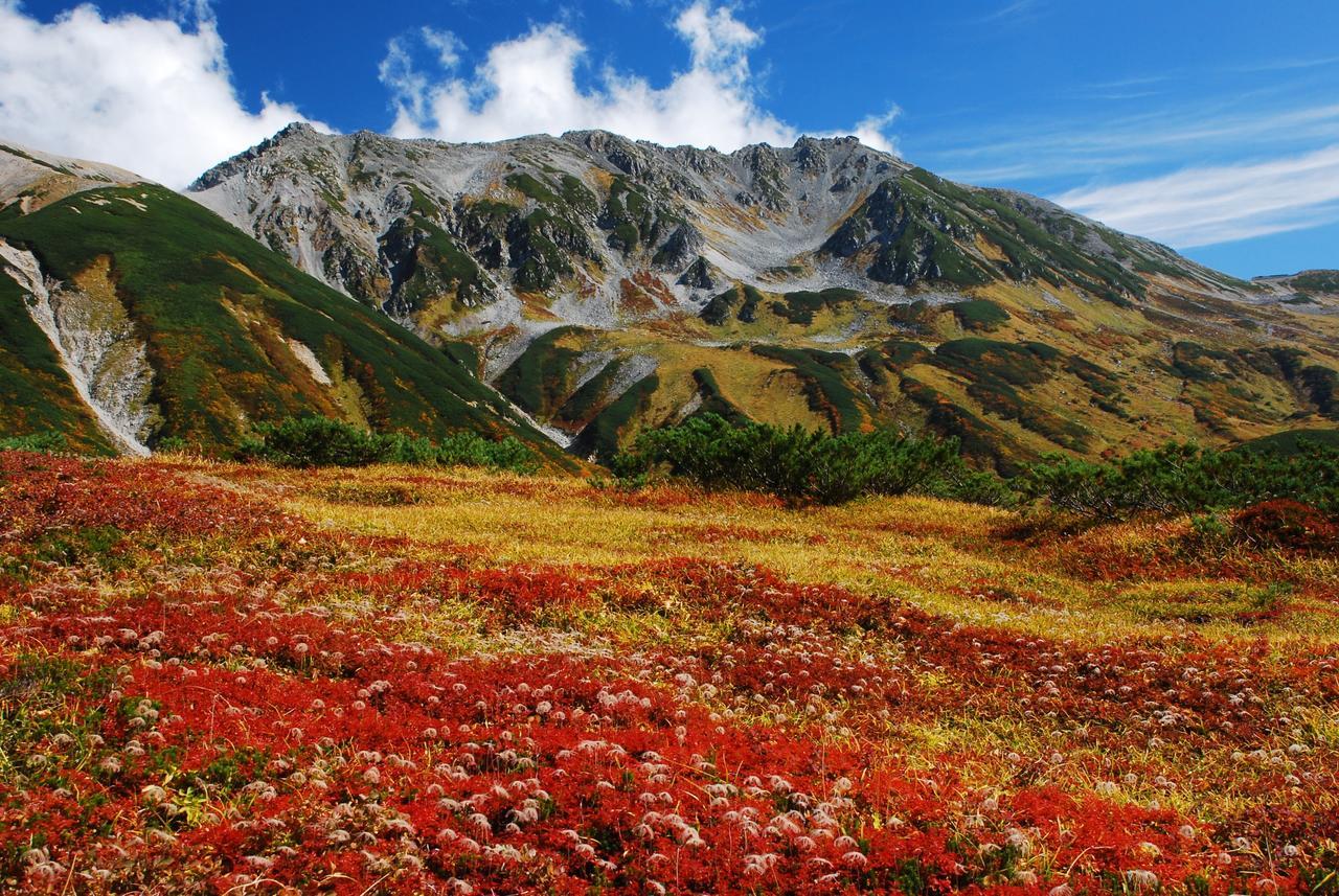 Tateyama Kogen Hotel Τογιάμα Εξωτερικό φωτογραφία