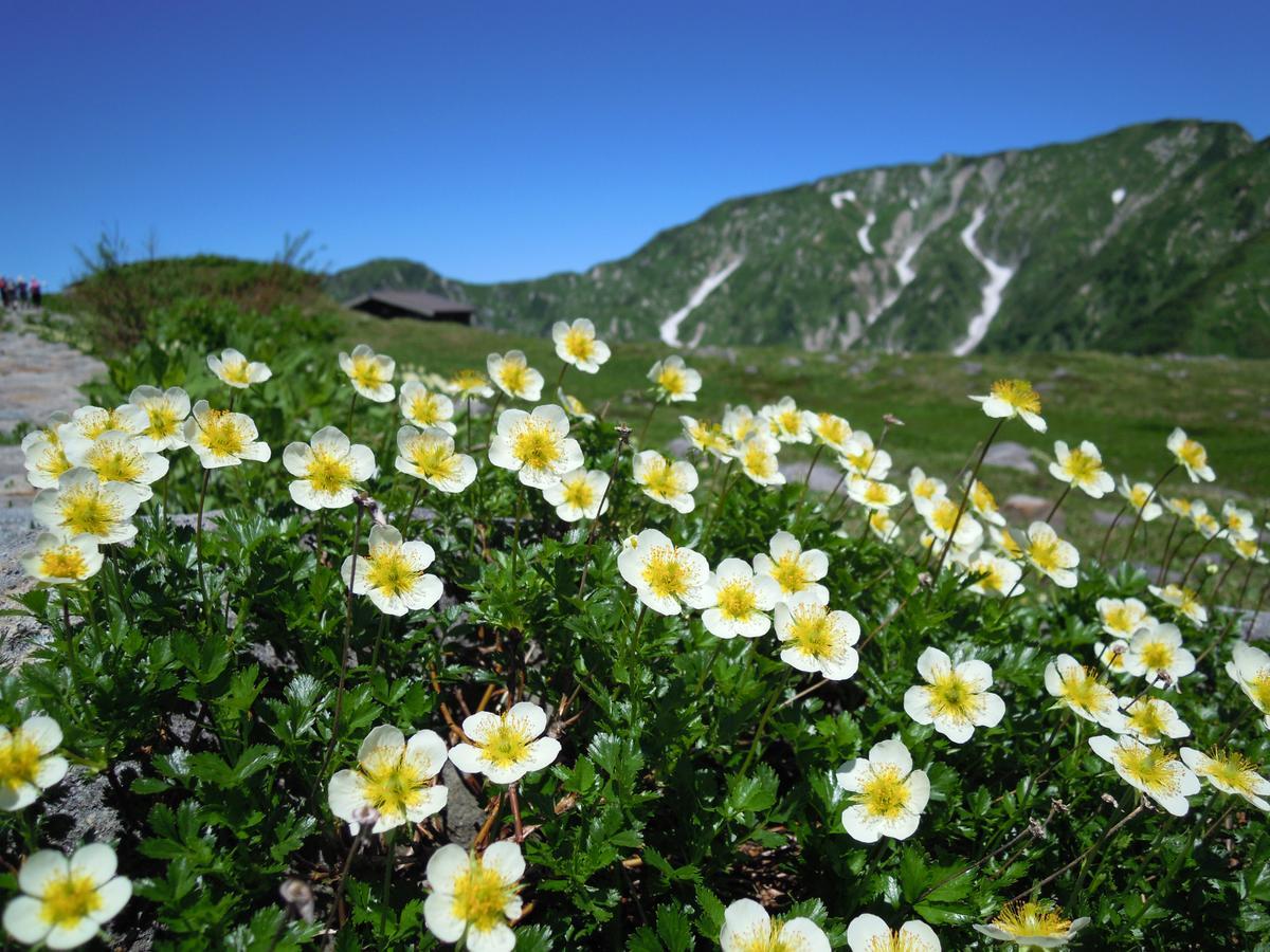 Tateyama Kogen Hotel Τογιάμα Εξωτερικό φωτογραφία