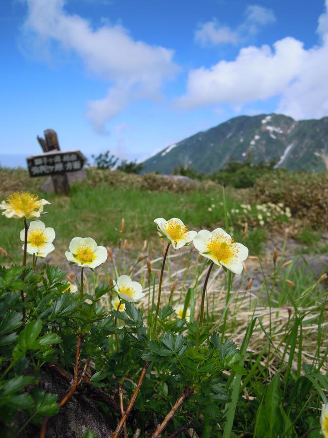 Tateyama Kogen Hotel Τογιάμα Εξωτερικό φωτογραφία